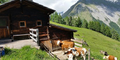 Pensionen - Langlaufloipe - Tirol - Jungvieh auf der Alm - Bergerhof