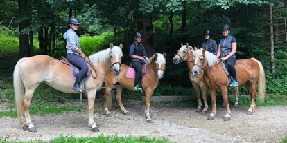 Pensionen - Rottach-Egern - PFERDE
Unsere Pferde sind sehr rücksichtsvoll und lieben es Ausreiten zu gehen. - Ferienpension Am Haflingerhof