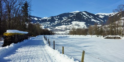 Pensionen - Garten - Salzburg - Winterspaziergang in Uttendorf - Pension zu Hause