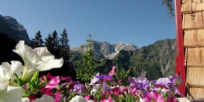 Pensionen - Vorarlberg - Schwarzmann's Ferienwohnungen