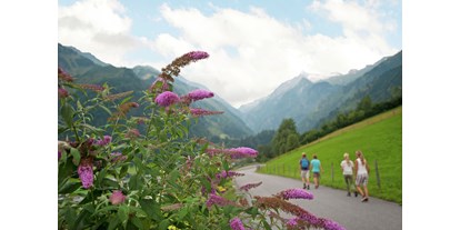 Pensionen - Umgebungsschwerpunkt: Therme - Pinzgau - Ferienwohnung Blick auf das Kitzsteinhorn  - Oberaigenhof Ferienwohnungen Kaprun 