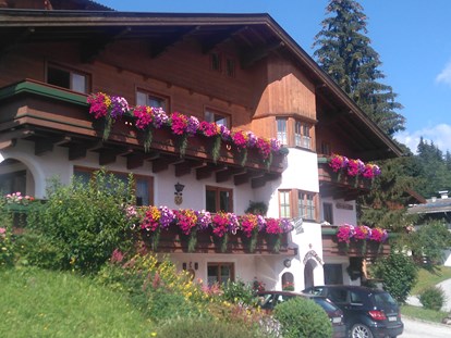 Pensionen - WLAN - Pinzgau - Haus Heidi im Sommer  - Haus Heidi