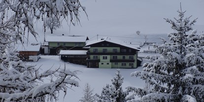 Pensionen - Umgebungsschwerpunkt: Berg - Steiermark - Winter bei uns in der Steiermark  - Entingerhof