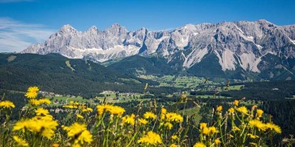 Pensionen - Langlaufloipe - Steiermark - Dachsteinhof