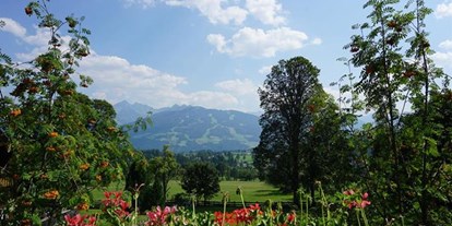 Pensionen - Umgebungsschwerpunkt: Berg - Schladming-Dachstein - Dachsteinhof