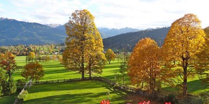 Pensionen - Umgebungsschwerpunkt: Berg - Schladming-Dachstein - Dachsteinhof