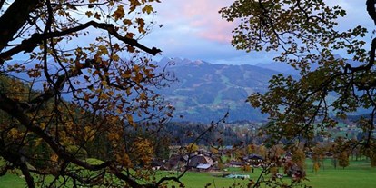 Pensionen - Langlaufloipe - Steiermark - Dachsteinhof