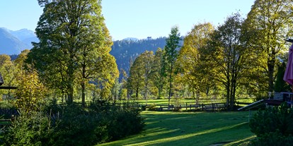 Pensionen - Umgebungsschwerpunkt: Berg - Schladming-Dachstein - Blick in den Garten - Dachsteinhof