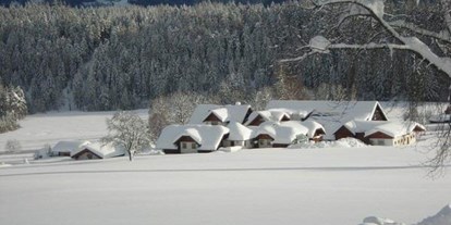 Pensionen - Garage für Zweiräder - Steiermark - hintere Nord-Winter Ansicht - Bio-Bauernhof Simonbauer