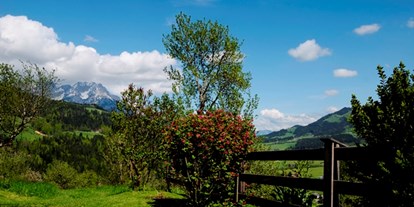 Pensionen - Kühlschrank - Tiroler Unterland - Garten - Duschberghof