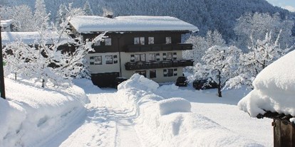 Pensionen - Art der Pension: Urlaubspension - Tiroler Unterland - Winter am Ticklhof  - Appartements Ticklhof am See