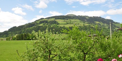 Pensionen - Kühlschrank - Tiroler Unterland - Ausblick auf die Hohe Salve - Haus Leo