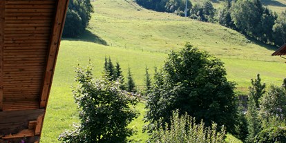 Pensionen - Umgebungsschwerpunkt: Stadt - Salzburg - Forsthof