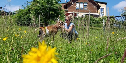 Pensionen - Hunde: hundefreundlich - Steiermark - Streichel- Therapie Schafe, eigene Hühner, Enten, Katzen
Hunde herzlich willkommen - Landhaus FühlDichWohl