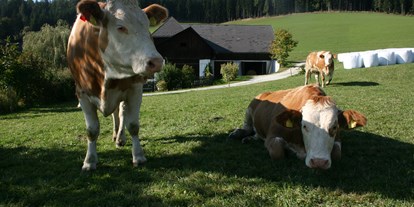Pensionen - Umgebungsschwerpunkt: Berg - Steiermark - Lebendige Landwirtschaft - Urlaub am Bauernhof Hönigshof Familie Kerschenbauer 