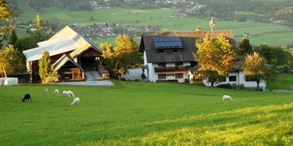 Pensionen - Hunde: hundefreundlich - Steiermark - Dirtlerhof