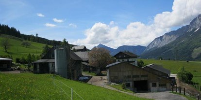 Pensionen - Umgebungsschwerpunkt: Stadt - Steiermark - Pension Goschnhof