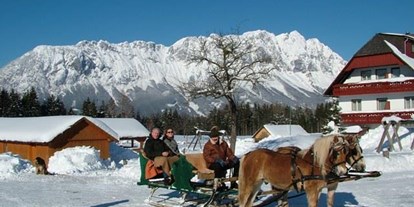 Pensionen - Hunde: hundefreundlich - Steiermark - Hotel Pension Camping Pürcherhof