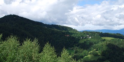 Pensionen - Radweg - Steiermark - Wanderparadies 5 Autominuten vom Haus entfernt.. - Pension Wolkenreich
