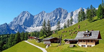 Pensionen - Langlaufloipe - Steiermark - Brandhof am Dachstein