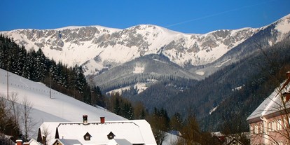 Pensionen - Umgebungsschwerpunkt: Stadt - Steiermark - Blick auf die Brunnalm - Hohe Veitsch vom Apartment "Panorama" und "Familienzimmer" - Frühstückspension Hermine Fraiß