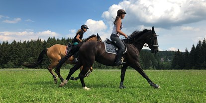 Pensionen - Umgebungsschwerpunkt: am Land - Steiermark - Unser Steckenpferd sind die Pferde - Das Leitner Home&Horse (Narnhoferwirt)