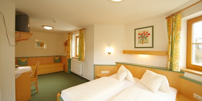 Pensionen - Steiermark - Erkerzimmer mit Dachsteinblick - Hotel-Pension Bruckreiterhof