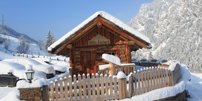 Pensionen - Umgebungsschwerpunkt: Berg - Schladming-Dachstein - Villa Edelweiss - Hotel-Pension Bruckreiterhof