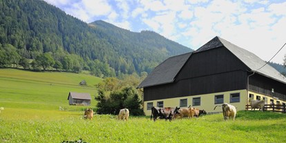 Pensionen - weitere Verpflegungsmöglichkeiten: Abendessen - Steiermark - Biolandwirtschaft - Familie Mössner *Landgasthof Pension*