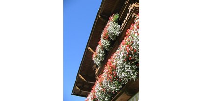 Pensionen - Langlaufloipe - Tirol - Blumenpracht auf dem Südbalkon - Haus Sarah