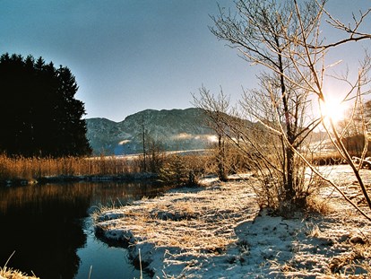 Pensionen - WLAN - Österreich - Naturschutzgebiet "Egelsee" im Winter 5.min vom Margarethengut - Ferienhof Margarethengut