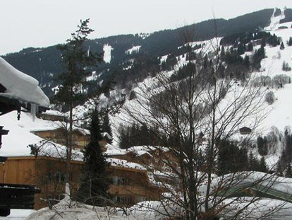 Pensionen - Umgebungsschwerpunkt: Berg - Pinzgau - Pension Lederergütl