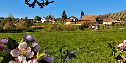 Pensionen - Garten - Deutschland - Frühling - Blick aus der Apfelanlage - Gästehaus Wörner