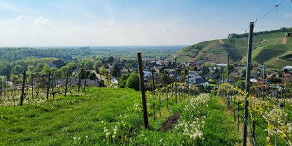 Pensionen - Umgebungsschwerpunkt: Berg - Deutschland - Unser Hausberg - das Vollmersbacher Köpfle mit Blick bis in die Rheinebene - Gästehaus Wörner