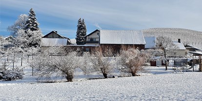 Pensionen - Umgebungsschwerpunkt: Berg - Deutschland - Winter - Gästehaus Wörner