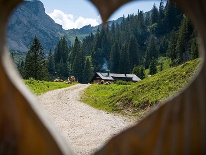 Pensionen - Kühlschrank - Österreich - Wandern von Hütte zu Hütte - KOMFORT-FEWO BERGWELT HAHNENKAMM   - Lechtal - So/Wi