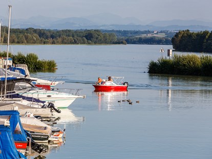 Pensionen - weitere Verpflegungsmöglichkeiten: Nachmittagskaffee - Österreich - die Donau mit Blick über den schönen kleinen Hafen von Au an der Donau - Pension Au an der Donau