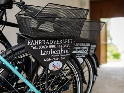 Pensionen - Fahrradverleih - E-Bike Verleih vor Ort - Pension Laubenhof
