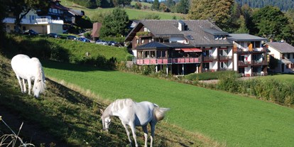 Pensionen - Pool - Baden-Württemberg - Panorama Lodge Sonnenalm Hochschwarzwald