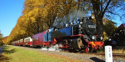 Pensionen - Deutschland - historische Dampfeisenbahn Molli - Ostsee Hotel-Pension An der Lindenallee Bad Doberan