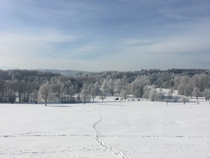 Pensionen - Wanderweg - Traumlandschaft im Winter
Aufgenommen in Zaißing 2020 - Pension am Weberhof