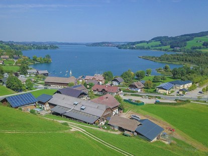 Pensionen - Garten - Salzburg - Der Ausblick über unsere Pension hinweg auf den Obertrumer See - Pension Fischerhof