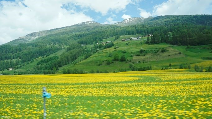 Pension am Weberhof Ausflugsziele Berge/Alpen