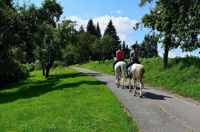 Reiten im Hausruckviertel