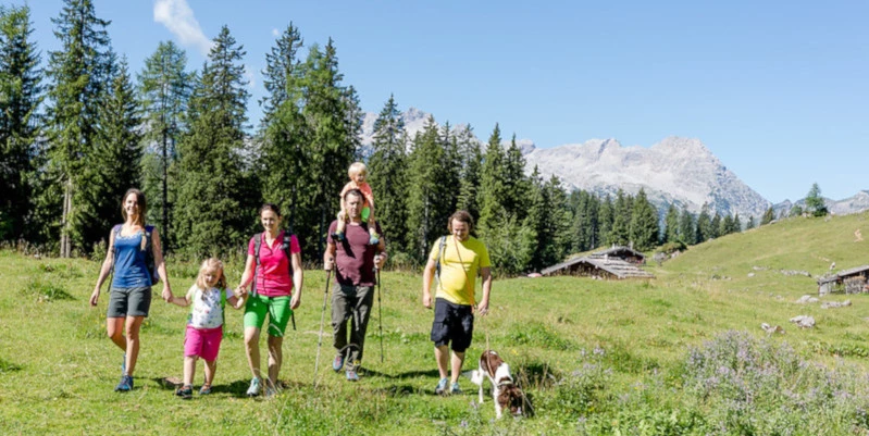 Wanderer Wiese Berge Himmel