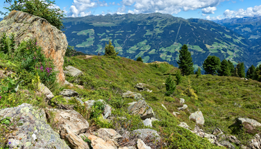 Landschaftsbild Zillertal