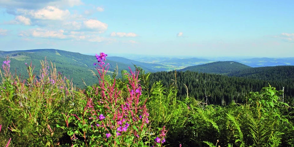 Aussicht vom Böhmerwaldkamm