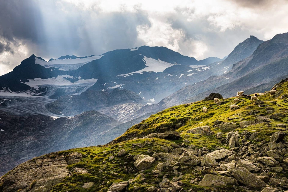 Landschaft im Wipptal