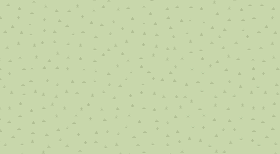 Pension auf Satellitenbild