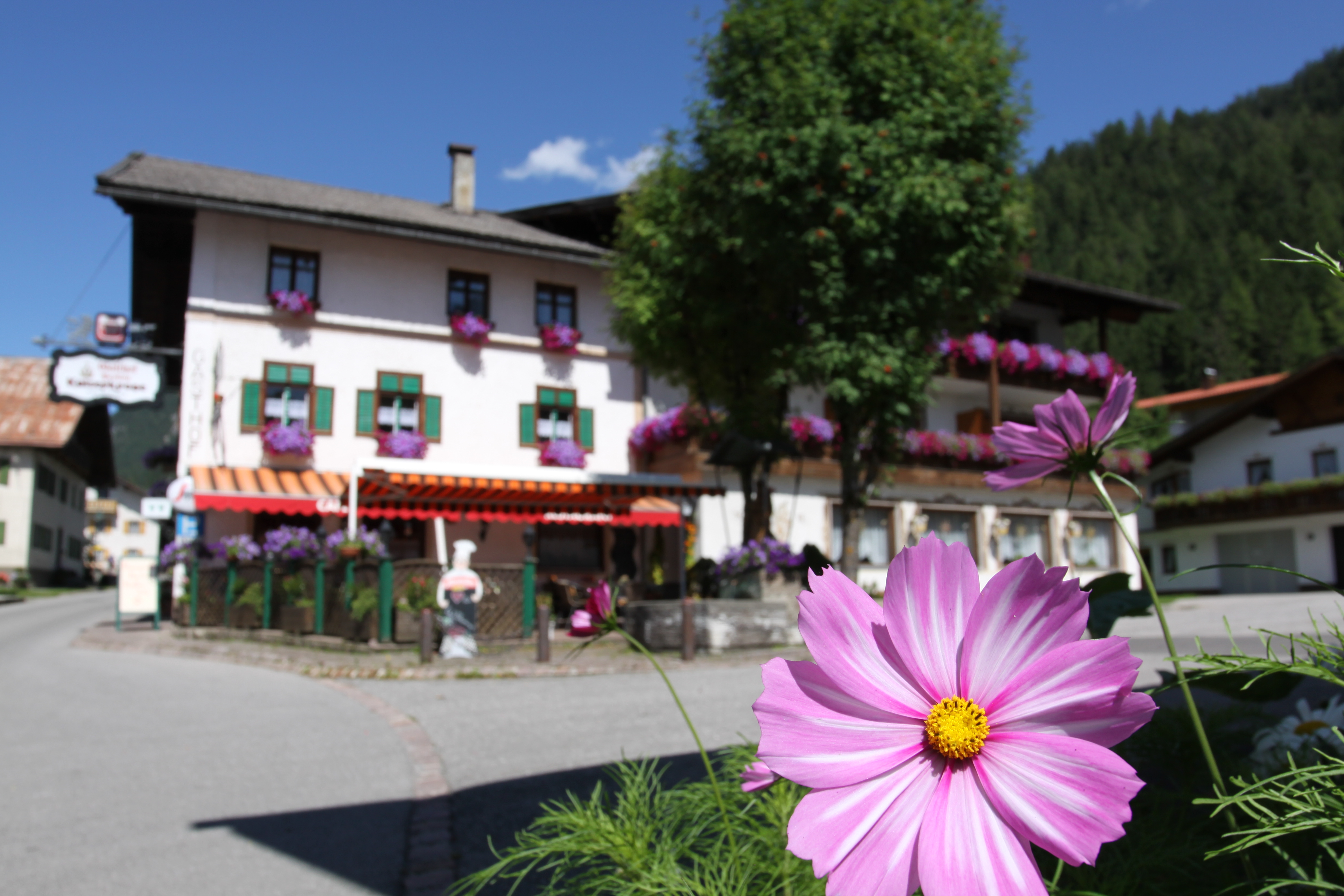 Frühstückspension - Unser Landgasthof Kaiserkrone im Sommer. - Landgasthof Kaiserkrone